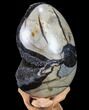 Septarian Dragon Egg Geode - Black Crystals #88188-3